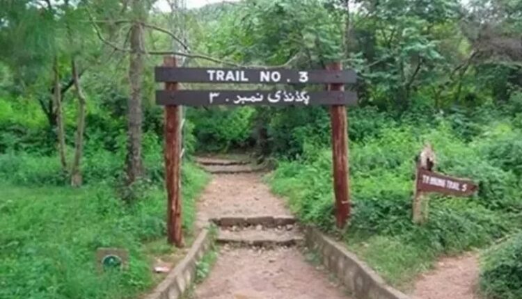 ٹریل تھری زیادتی کیس؛ جھوٹا مقدمہ درج کروانے پر لڑکی کیخلاف کارروائی کا حکم