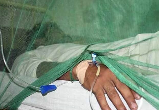 اسلام آباد میں ڈینگی کے مزید 17 کیسز رپورٹ، تعداد 85 ہو گئی