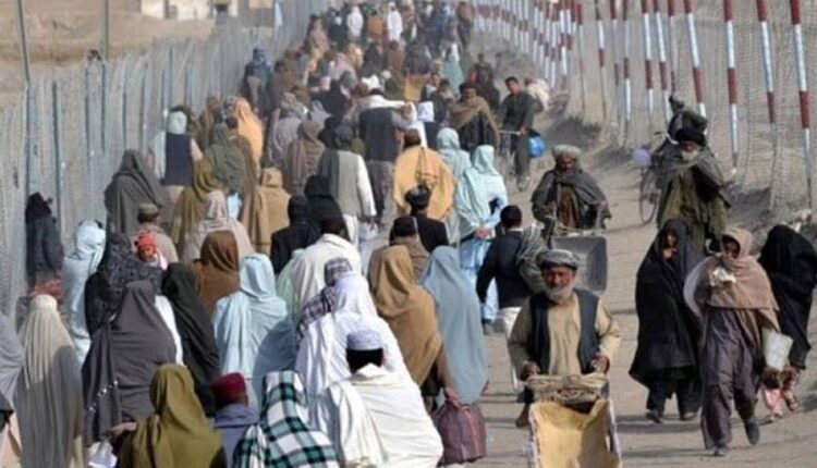 غیر قانونی مقیم غیر ملکیوں کے خلاف کارروائیاں جاری
