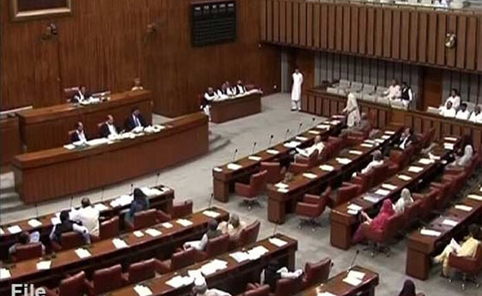 ایوان بالا میں اپوزیشن اراکین کا انتخابات میں دھاندلی کے خلاف شدید احتجاج