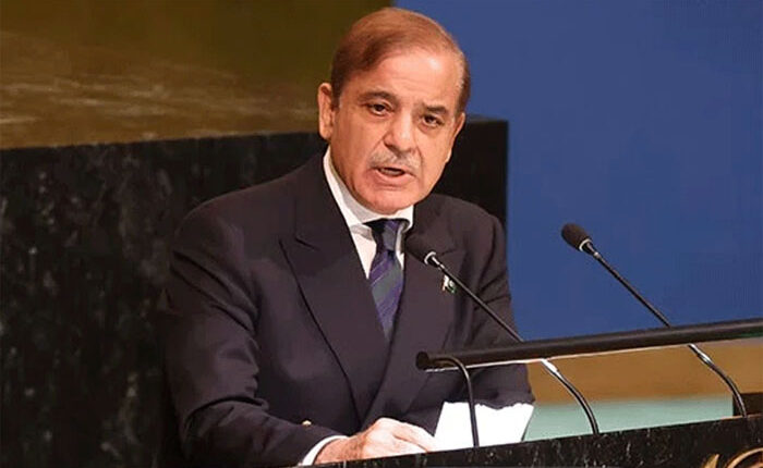 عالمی برادری غزہ میں فوری جنگ بندی کی قرارداد پر عملدرآمد یقینی بنائے، وزیراعظم