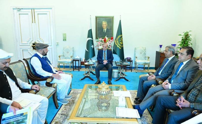 وزیر اعظم سے وزیراعلی گلگت بلتستان کی ملاقات ،مسائل کے حل کیلئے کمیٹی تشکیل