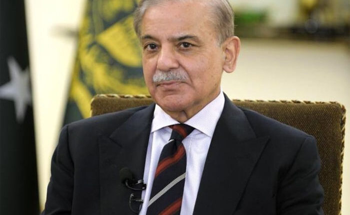 پاکستان میں متبادل توانائی کے حوالے سے سرمایہ کاری کی بڑی استعداد ہے ، وزیراعظم