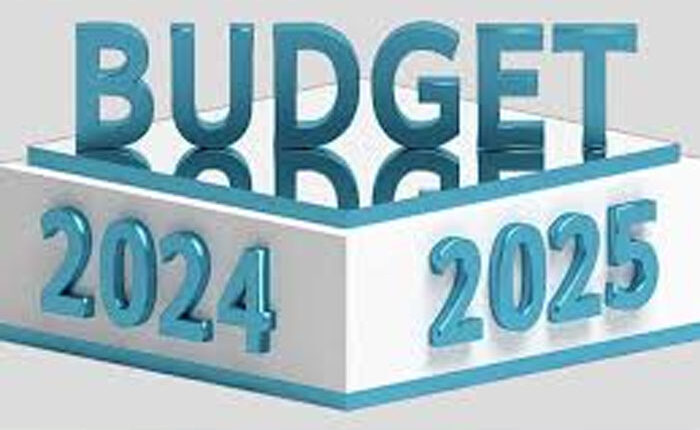 حکومت کا بجٹ 2024-25میں سیلز ٹیکس کی چھوٹ ،رعایتی شرح اور استثنیٰ ختم کرنے کا فیصلہ