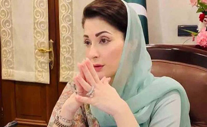 محنت، لگن اور ایمانداری سے کام کرنے والے سرکاری ملازمین کو سلام کرتی ہوں‘ وزیر اعلیٰ پنجاب