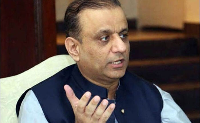 وزیر اعظم پی آئی اے کی جلد از جلد نجکاری چاہتے ہیں، مزید تاخیر نہ کی جائے،عبدالعلیم خان