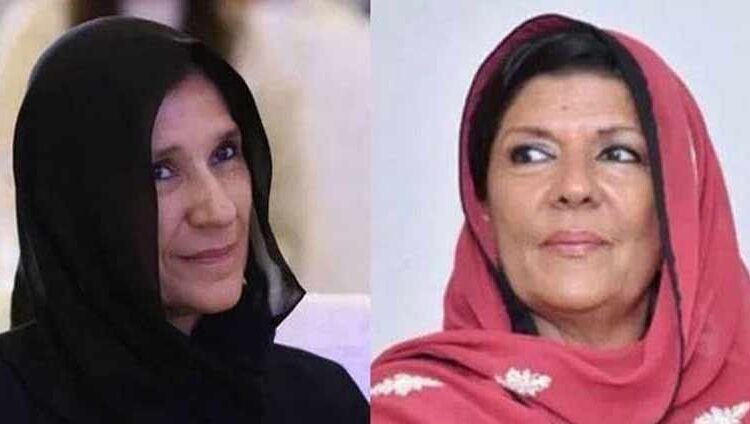 القادر سے متعلق چیف جسٹس کے ریمارکس پر مس کنڈکٹ لگنا چاہیے، علیمہ خان