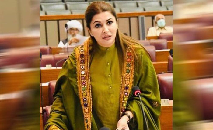 پاکستان کے مسائل اس شخص سے بڑے ہیں،ہم آپ کے عمر رسیدہ چیئرمین پر بات نہیں کریں گے،شازیہ مری