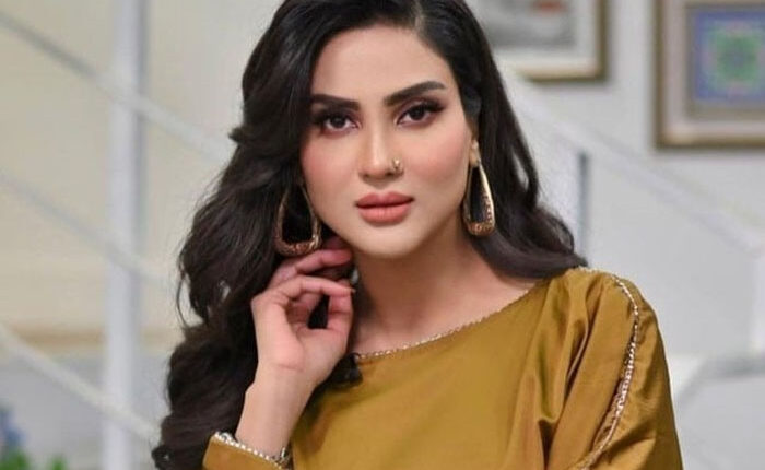 پاکستان کو بدنام کرنا بند کرو'، فضا علی کو امریکا میں ریلز بنانا مہنگا پڑگیا